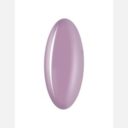 Gellac 426 / L478N Iris Orchid